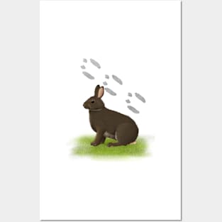 Rabbit Tracks Posters and Art